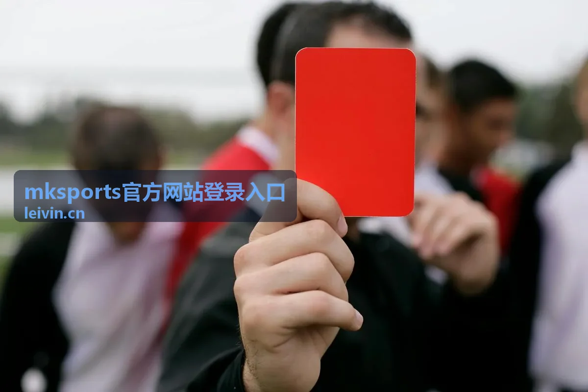 mksports官方网站登录入口通道说明配图