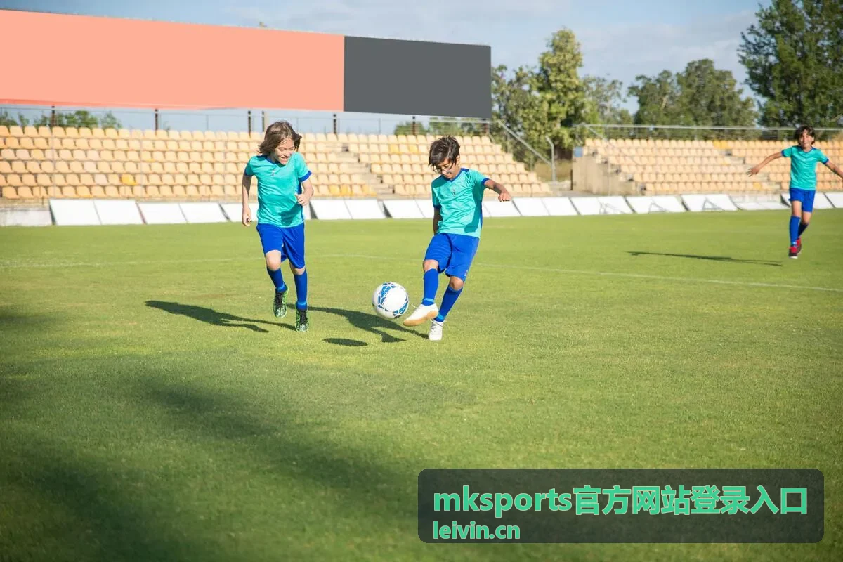 mksports官方网站登录入口通道核对流程