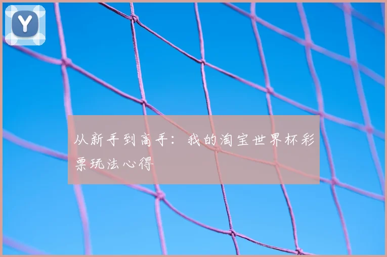 从新手到高手：我的淘宝世界杯彩票玩法心得