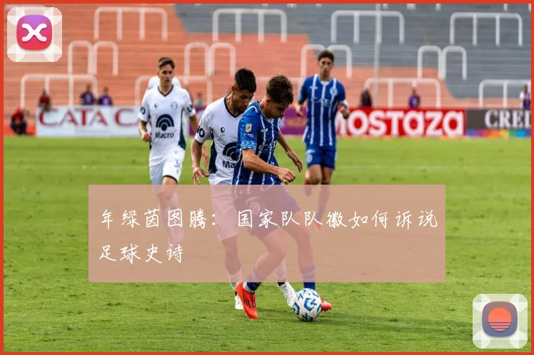 年绿茵图腾：国家队队徽如何诉说足球史诗