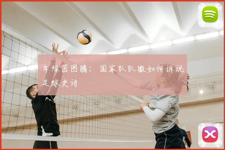 年绿茵图腾：国家队队徽如何诉说足球史诗