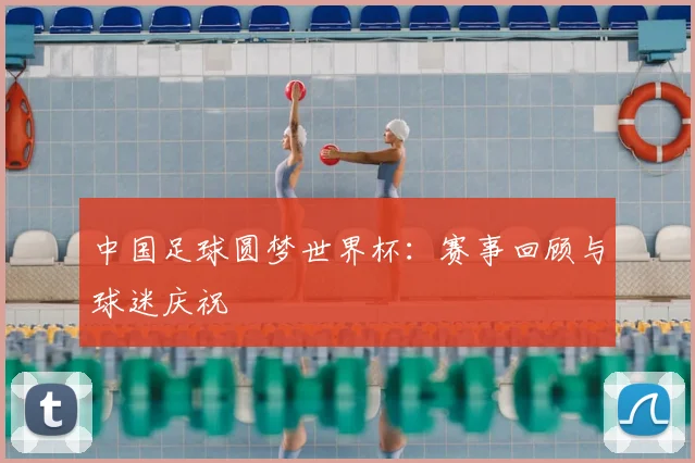 中国足球圆梦世界杯：赛事回顾与球迷庆祝