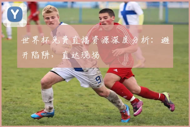 世界杯免费直播资源深度分析:避开陷阱,直达现场
