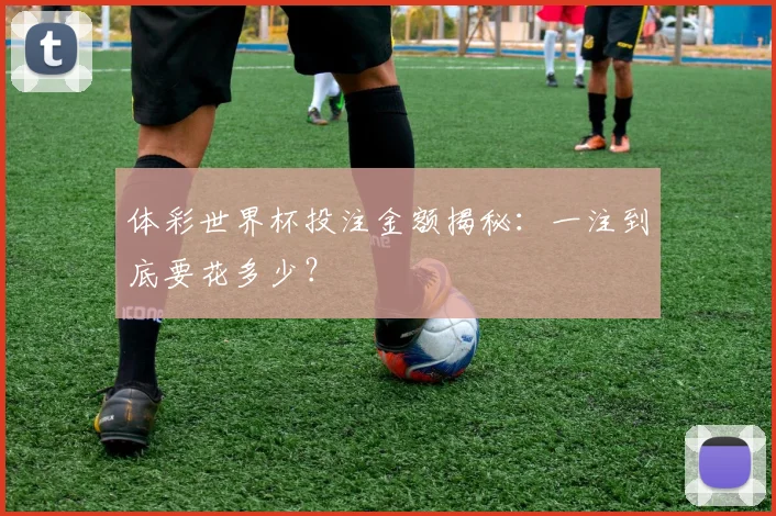 体彩世界杯投注金额揭秘:一注到底要花多少?