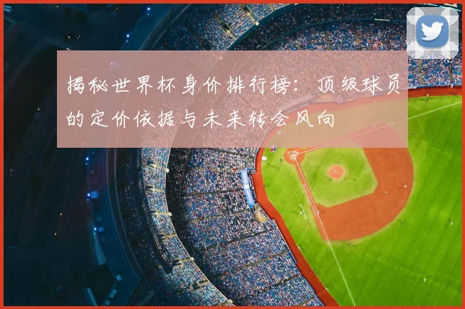 揭秘世界杯身价排行榜：顶级球员的定价依据与未来转会风向