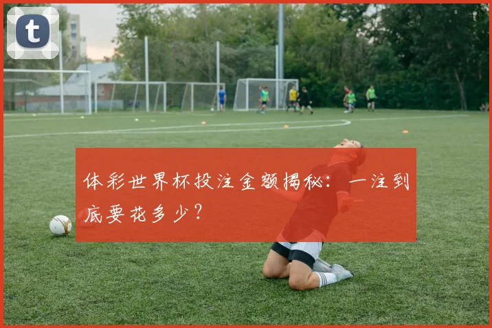 体彩世界杯投注金额揭秘:一注到底要花多少?