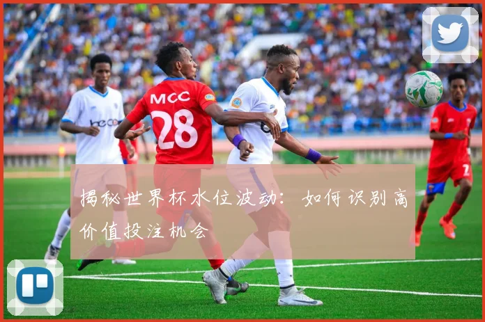 揭秘世界杯水位波动：如何识别高价值投注机会