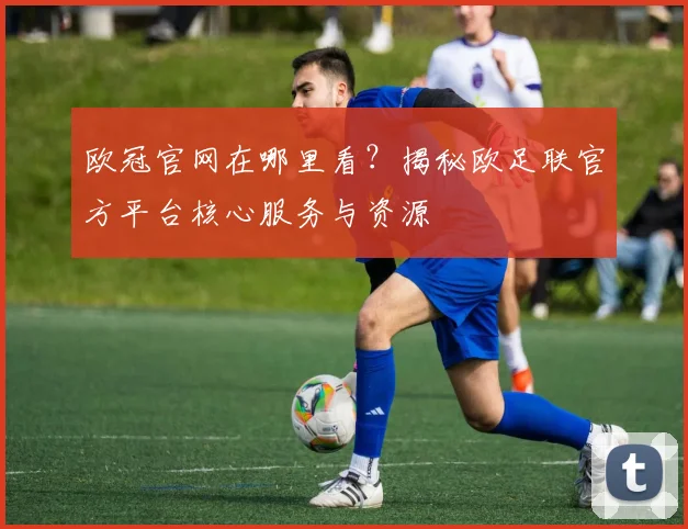 欧冠官网在哪里看？揭秘欧足联官方平台核心服务与资源