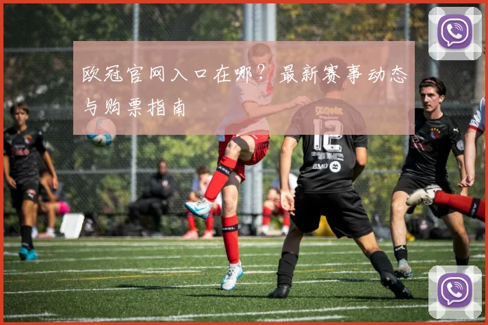 欧冠官网入口在哪？最新赛事动态与购票指南